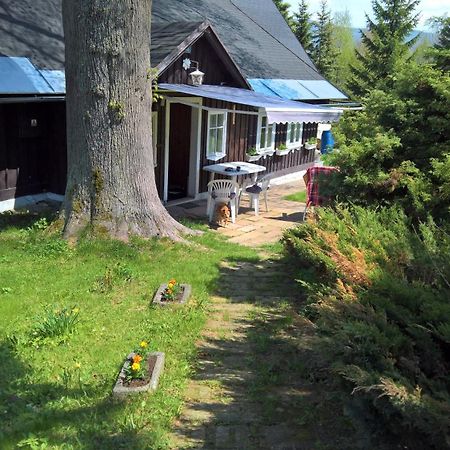 Vila Chata V Srdci Krkonos Kořenov Exteriér fotografie