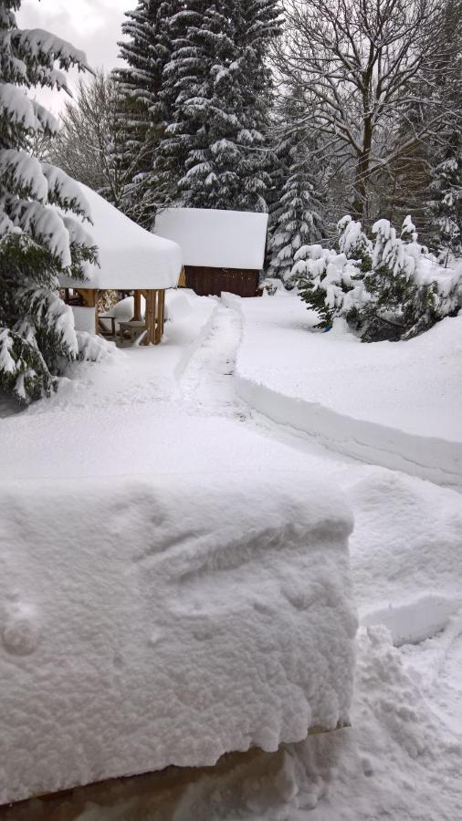 Vila Chata V Srdci Krkonos Kořenov Exteriér fotografie