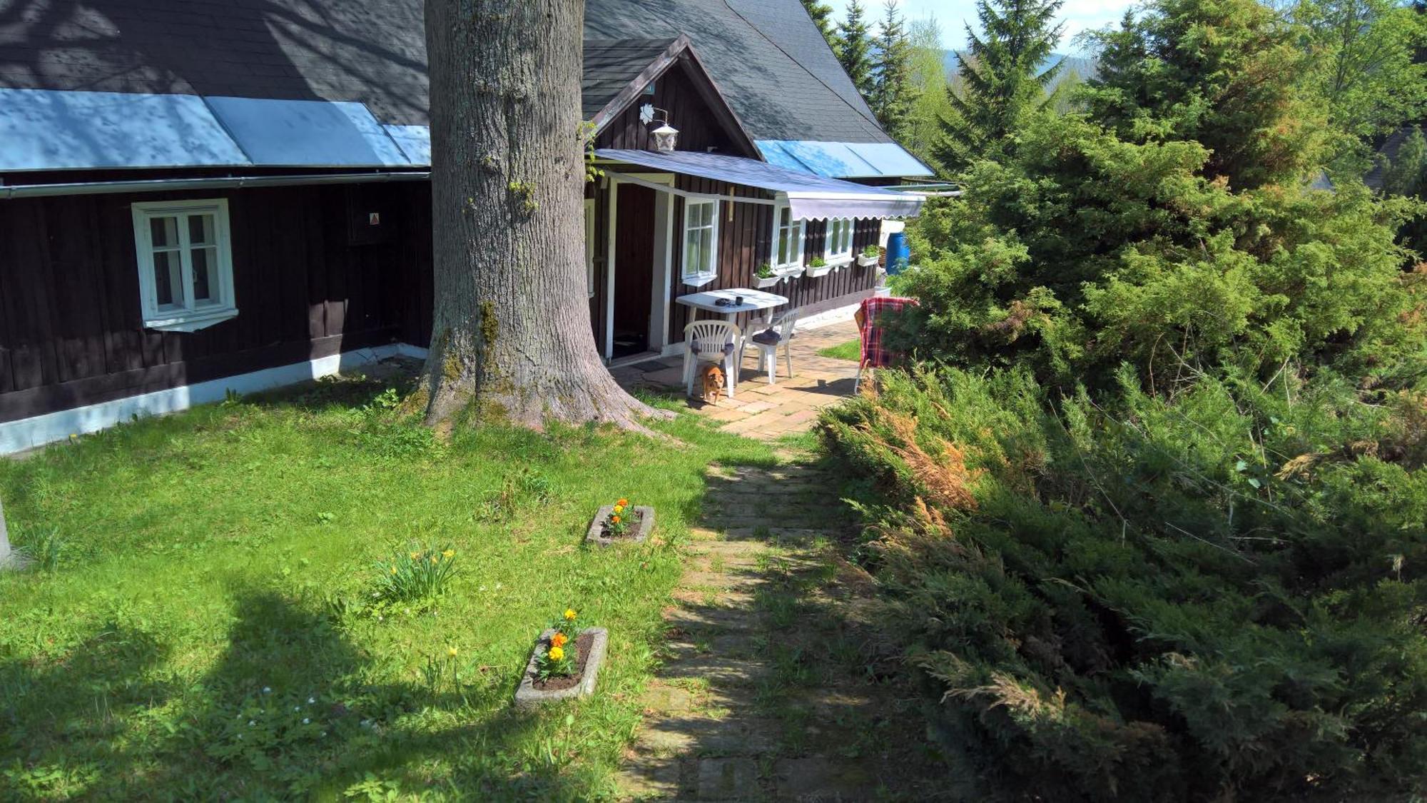 Vila Chata V Srdci Krkonos Kořenov Exteriér fotografie